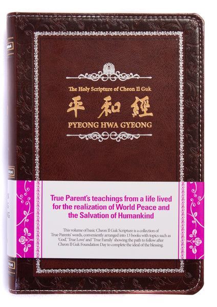 Holy Scriptures Mini-Book Set
