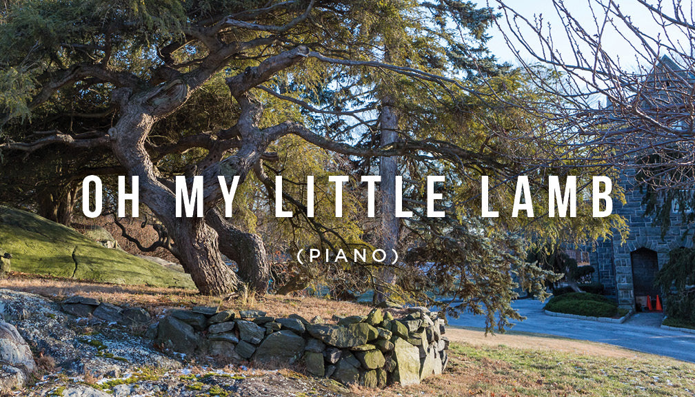 Meditation: Oh My Little Lamb