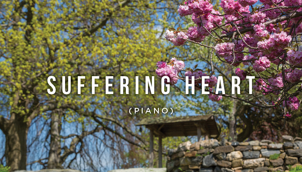 Meditation: Suffering Heart