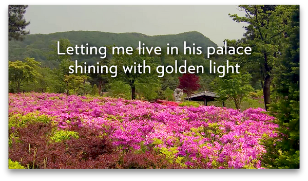 Congregational: When I Behold The Lord