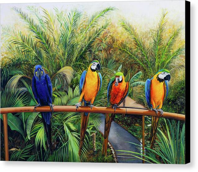 Rare Encounters - Canvas Print