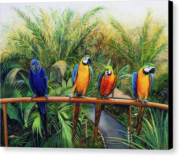 Rare Encounters - Canvas Print