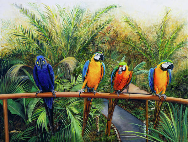 Rare Encounters - Art Print