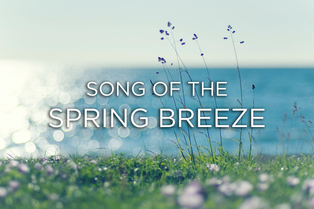Meditation: Song of the Spring Breeze (Piano Version)